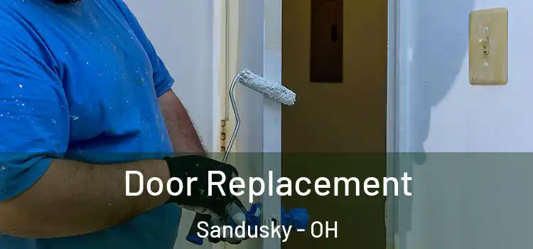 Door Replacement Sandusky - OH