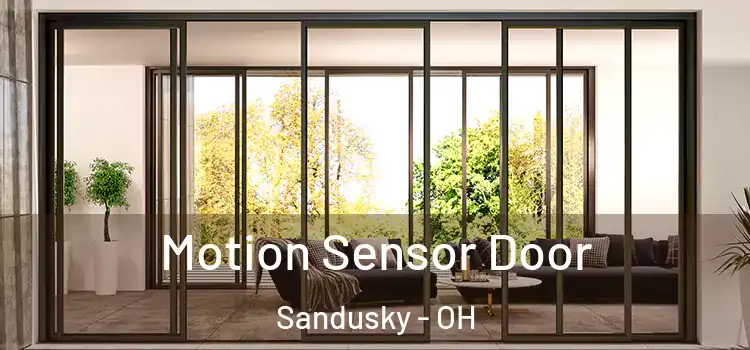 Motion Sensor Door Sandusky - OH